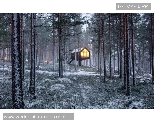 探索摩尔特里的魅力与历史深度揭示这座城市的独特风情与文化底蕴